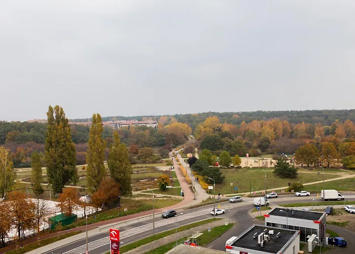 Glow - Baltea Przymorze Gdańsk