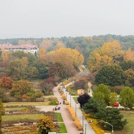 Glow - Baltea Przymorze * Gdansk